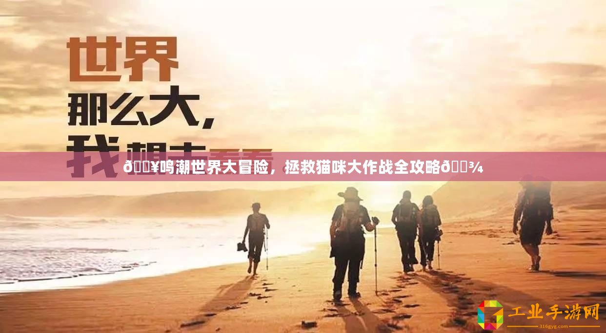 ??鳴潮世界大冒險，拯救貓咪大作戰(zhàn)全攻略??