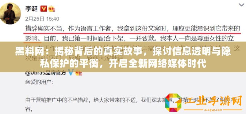 黑料網(wǎng)：揭秘背后的真實(shí)故事，探討信息透明與隱私保護(hù)的平衡，開(kāi)啟全新網(wǎng)絡(luò)媒體時(shí)代