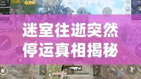 迷室往逝突然停運(yùn)真相揭秘，國(guó)服停運(yùn)通知解讀