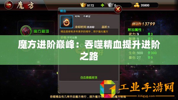 魔方進(jìn)階巔峰：吞噬精血提升進(jìn)階之路