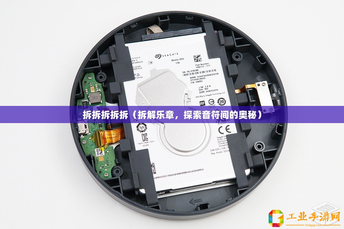 拆拆拆拆拆（拆解樂章，探索音符間的奧秘）
