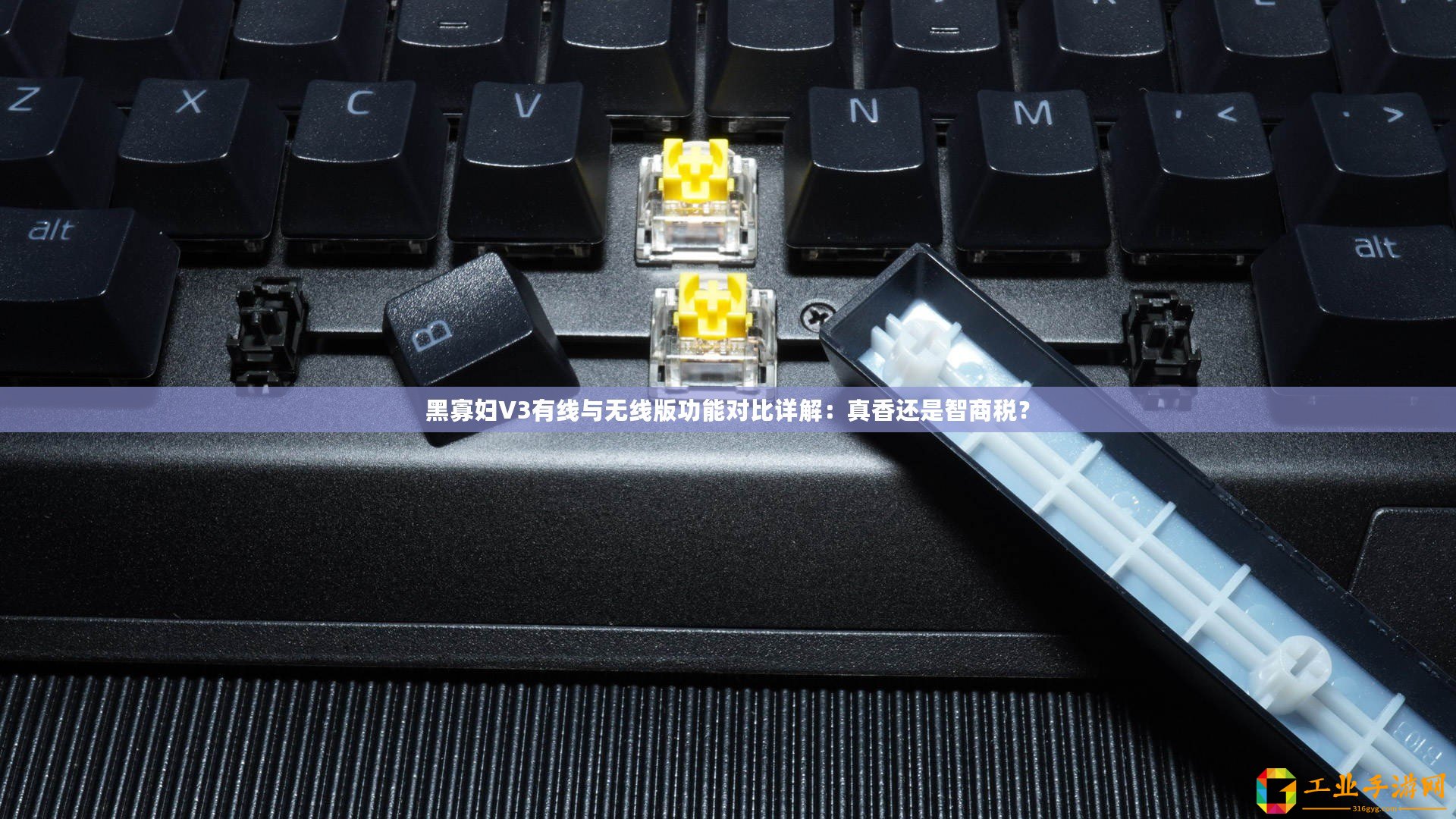 黑寡婦V3有線與無線版功能對比詳解：真香還是智商稅？