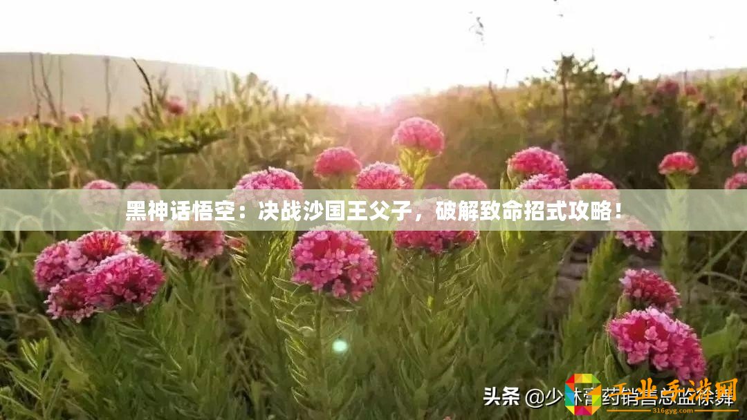 黑神話悟空：決戰沙國王父子，破解致命招式攻略！