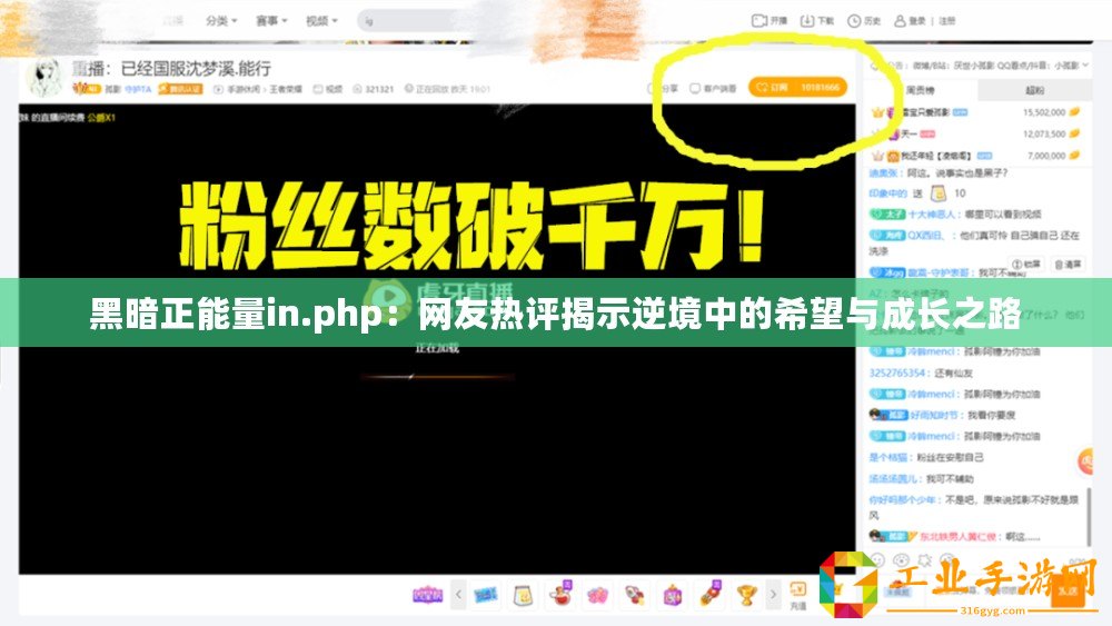 黑暗正能量in.php：網(wǎng)友熱評(píng)揭示逆境中的希望與成長之路